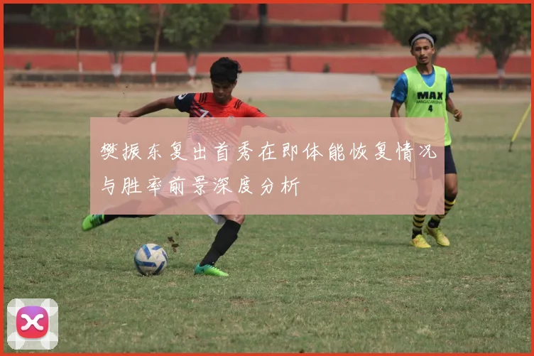 樊振东复出首秀在即体能恢复情况与胜率前景深度分析